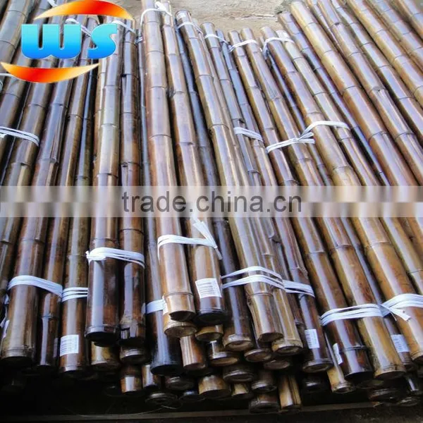 Bamboo Pole