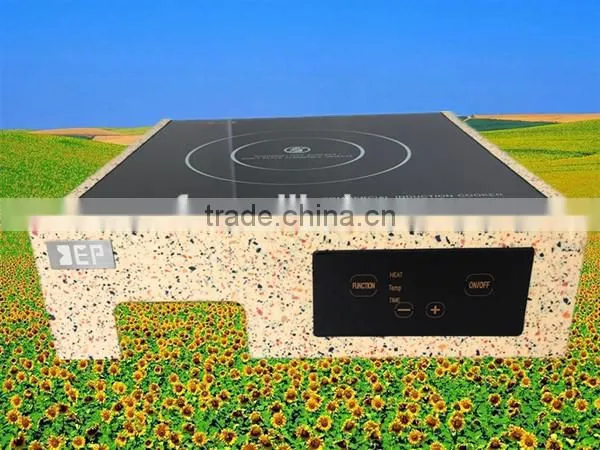 Commercial Induction Cooker