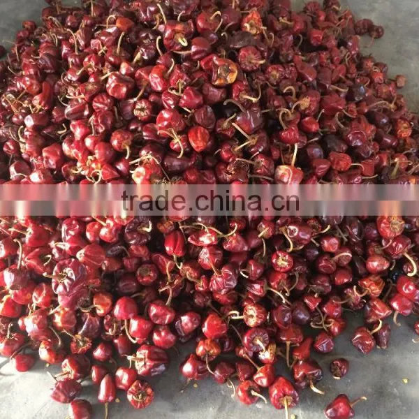 Round Red Chille Pepper photo-2