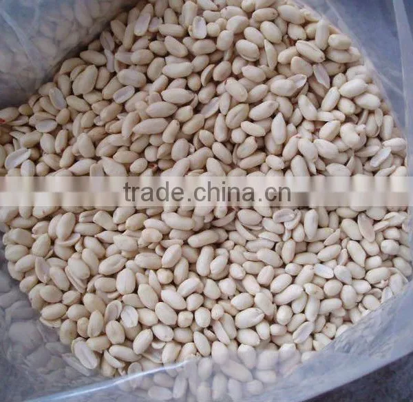 Peanut Kernels Manufacturer in China, Blanched and Peanut in Shell