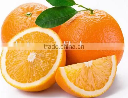 100% Natural Citrus Hesperidin photo-3