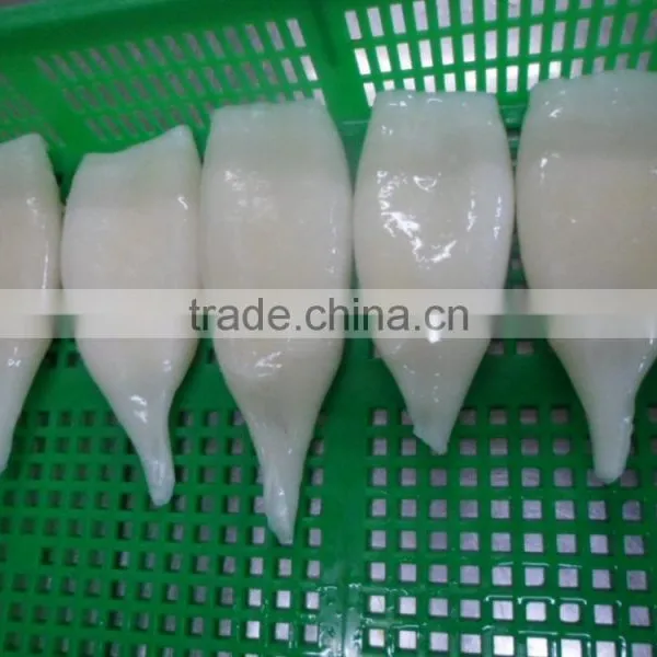 Frozen Squid Tube Fish U5 photo-4