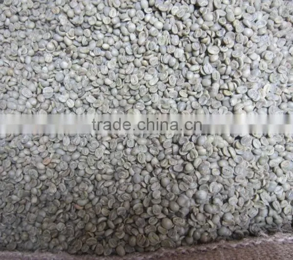 ARABICA GREEN COFFEE BEANS-HIGH QUALITY/ GOOD PRICE photo-4