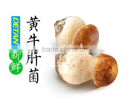 High Quality Porcini Dried Mushroom photo-3