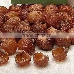 Natural Soap Nut