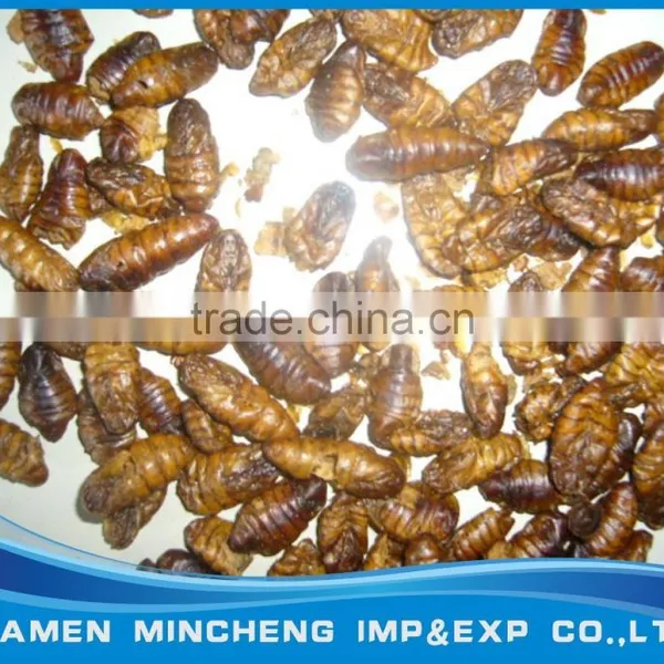 Hot-air Drying Silkworm Pupae