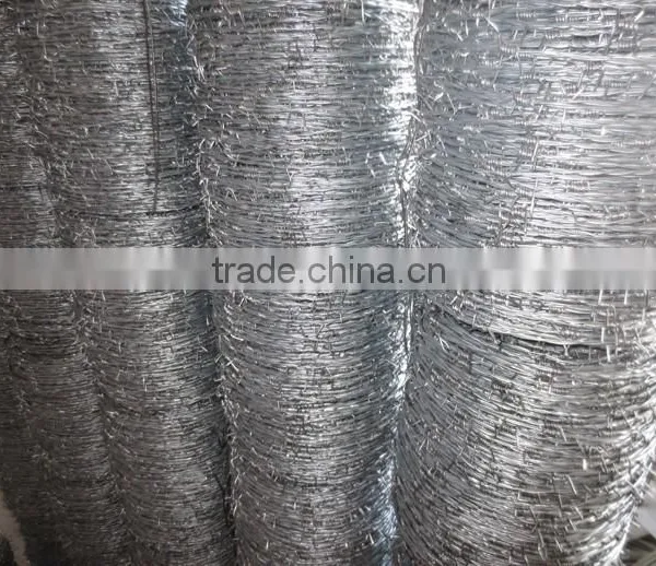 Hot-dipped Galvanized Steel Barbed Wire photo-3