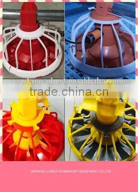 Industrial Poultry Equipment Chicken Farm photo-3