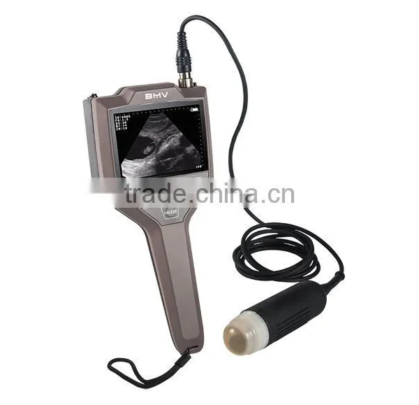 Full-digital Swine, Ovine Ultrasound Scanner. Accurate Reproductive Diagnosis on the Farm