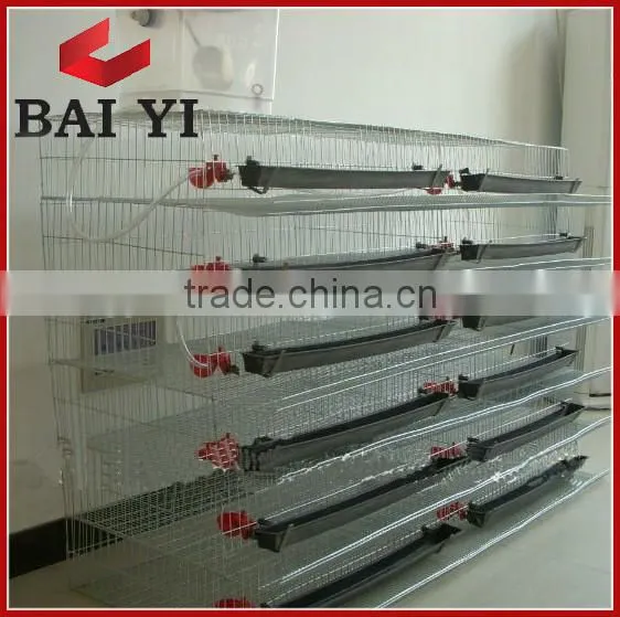 Hot Sale Quail Laying Cage photo-6