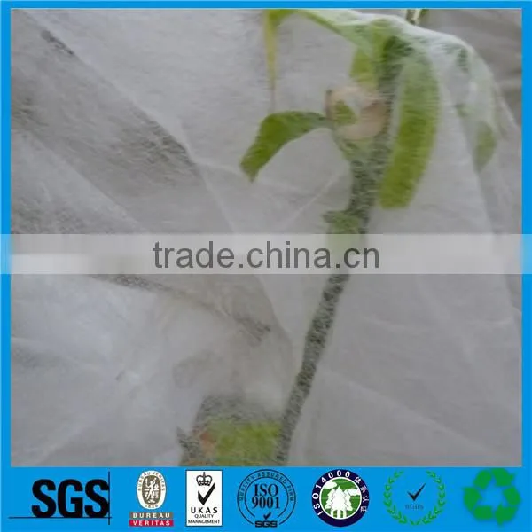 Agriculture Non Woven Weed Barier Weed Control photo-4