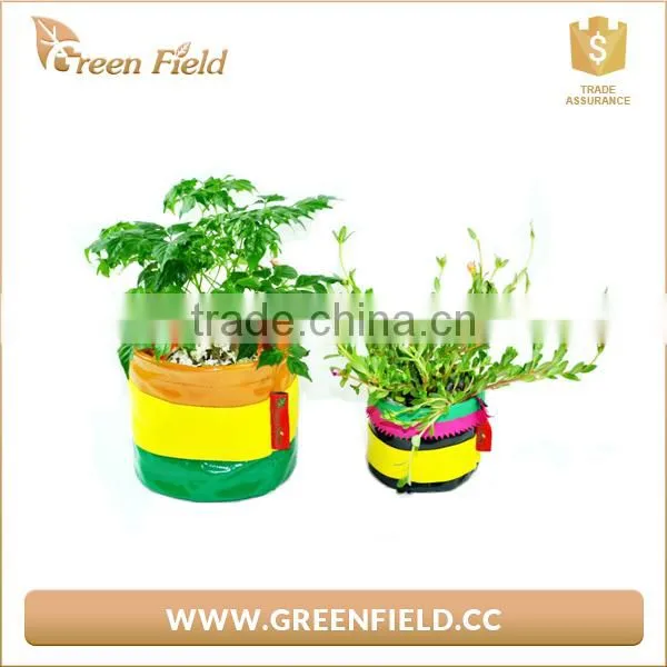 Mini Reusable Fabric Grow Bag Canvas Plant Bags photo-2