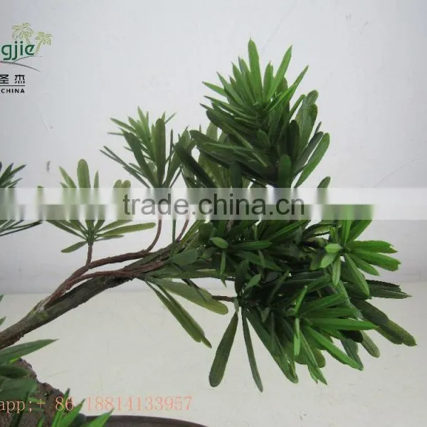Miniascape,potted Evergreen Landscape,shapped Bonsai photo-6