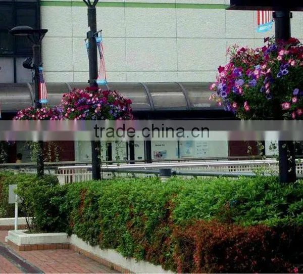 SOL 2015 Environment-friendly Factory Price Hanging Ball Planters photo-6
