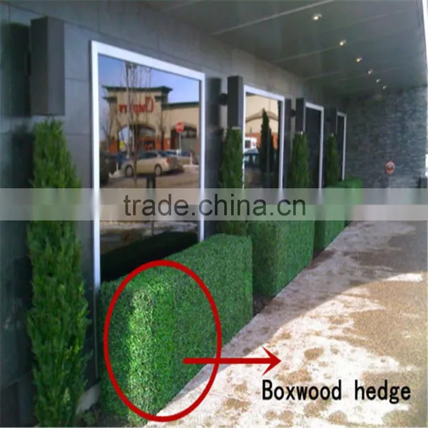 SJ0032693 China Artificial Plastic Grass Boxwood Hedge Fence for Outdoor UV Anti photo-2
