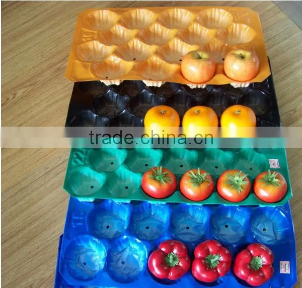 Economic Price Good Quality Export Standard Disposible Plastic Tray Liner for Apple in Food Grade photo-6