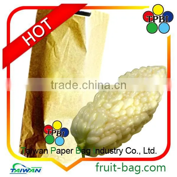 TPBI Taiwan High Quality UV Fruit Vegetable Protection Packaging Bag Bitter photo-2