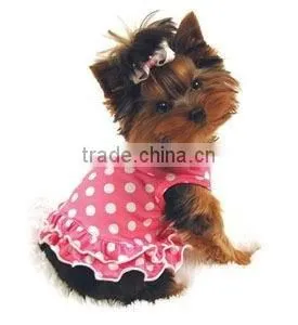 Pet Clothes