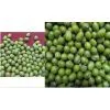 Green Mung Bean( Sprouting Type, New Crop, Hand-picked)
