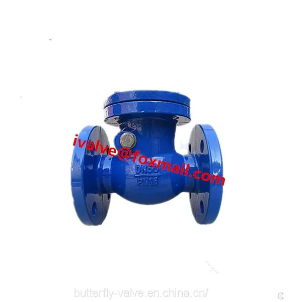 GG25 PN16 Swing Check Valve DIN F6