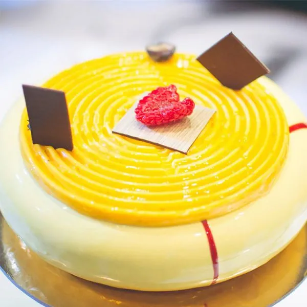 Free Sample Food Grade Heat Resistant Nontoxic Silicone Cake Mould Baking Mousse Pudding Mould Tool photo-4