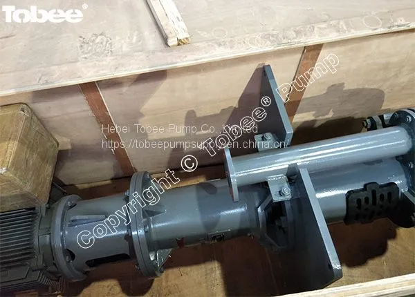100 RV-SP Mining Vertical Slurry Pump for Mineral Processing