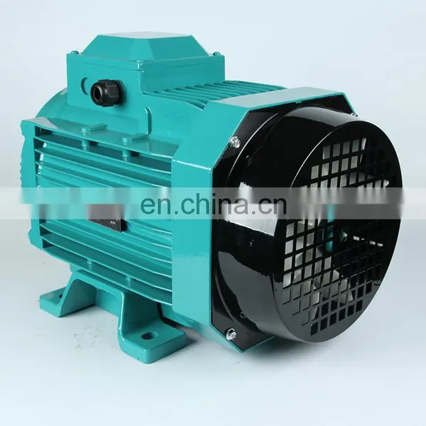 China Big Factory Good Price MS Aluminum Body Three Phase ac Motor photo-3