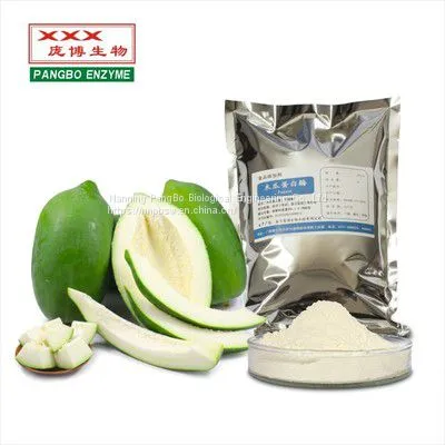 Papain Enzymes