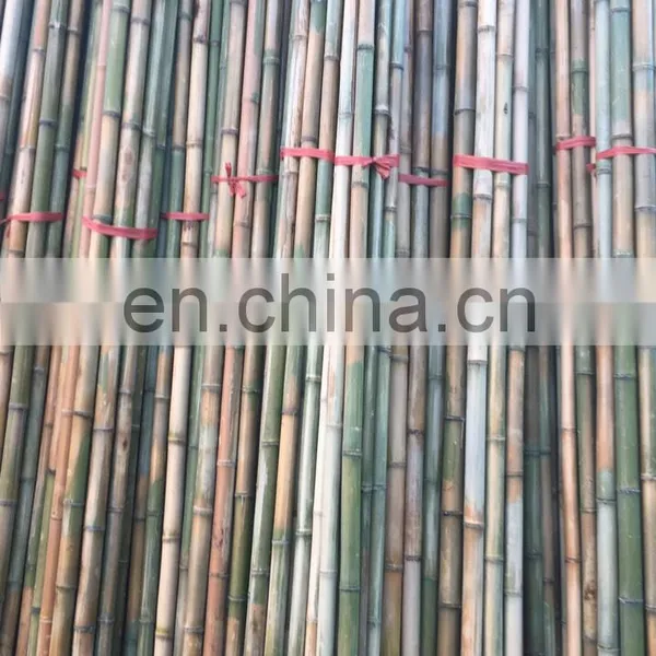 Wholesale High Quality Trend Production Cheapest Price Raw Bamboo Viet Nam Standard Size Open for Indoor/ Outdoor Furniture photo-4