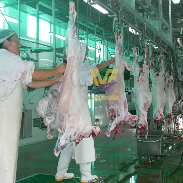 100–800 Heads Per Shift Sheep Goat Slaughter Line Customized Lamb Abattoir Machinery Manufacturer photo-2