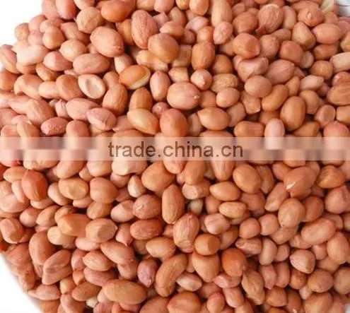 Blanched Peanut photo-4