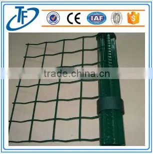 Green Pvc Holland Wire Mesh/pvc Wire Mesh photo-4