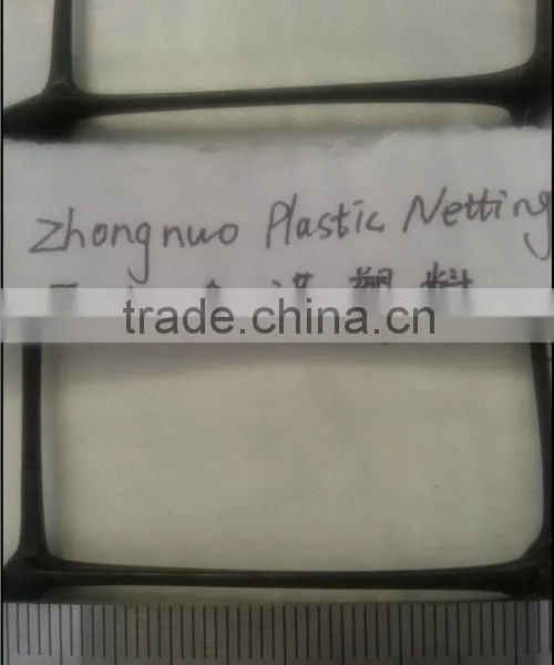 Diamond Plastic Extruded Net photo-5
