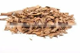 HIGH QUALITY WITH COMPETITIVE PRICE CINNAMON photo-2