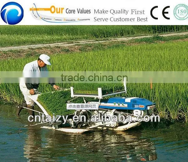 Big Promotion and Popular Selling Rice Transplanter Price