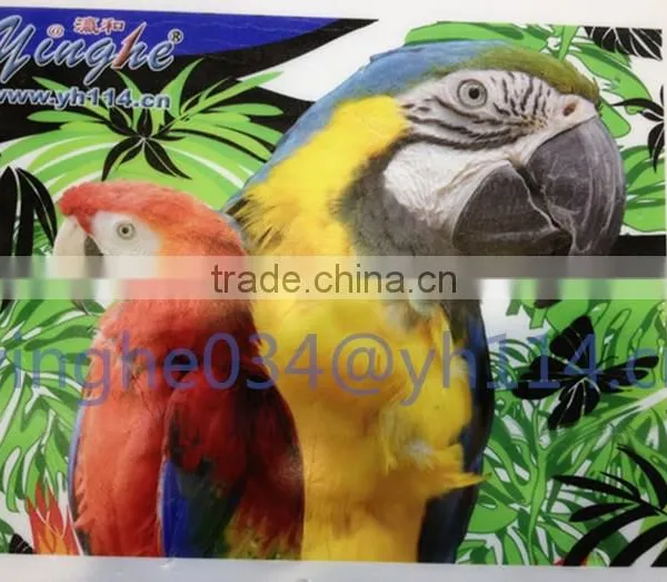 2015 New Small Size uv Flatbed Printer photo-6