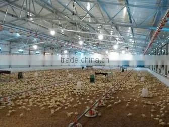 Feeding Pan Chicken Broiler Equipment Chicken Farm photo-3