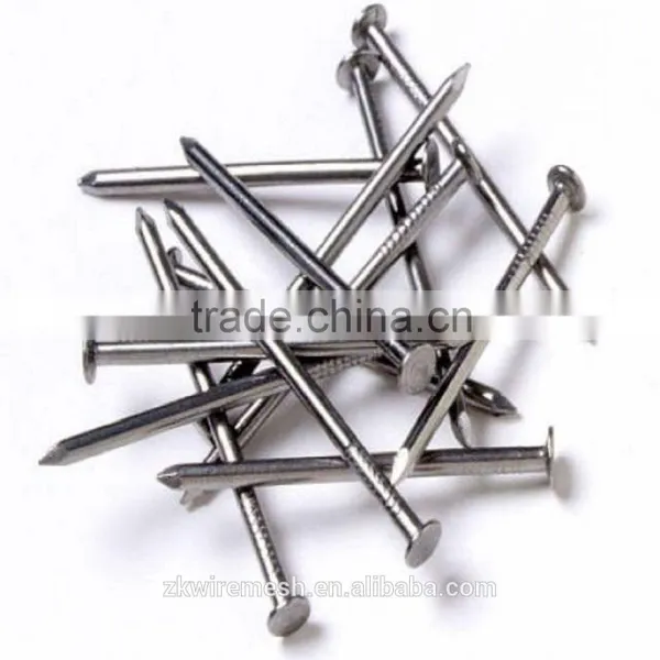 Galvanized Common Nails/Common Wire Nails/Iron Nails photo-5