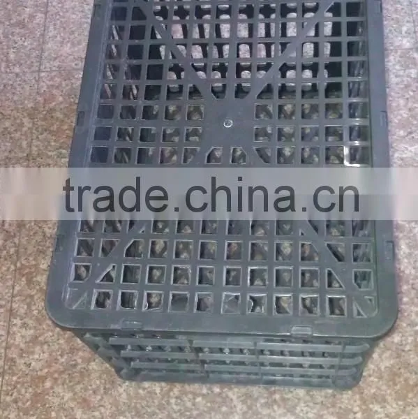 Fruit Plastic Basket Injection Molding Machine HDX438-658T