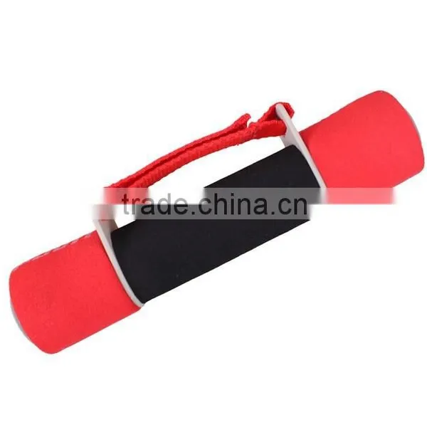 New Style High Quality EVA Cast Iron Little Dumbbell for Women photo-2