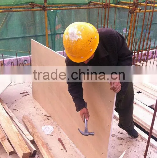 WPC/PVC Foam Board Replace Plywood for Building Construction photo-3