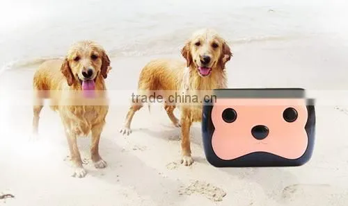 Cheap DIY Pet Dog Collars GPS Tracker D69 With APP Google Map photo-6