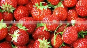 STRAWBERRY photo-3