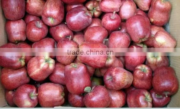 Huaniu Apple