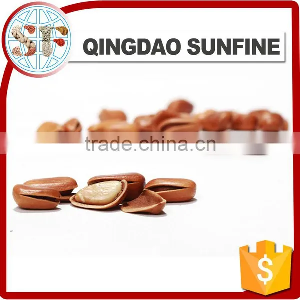 Organic pine nuts in shell