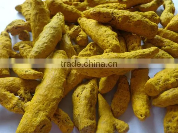 Turmeric