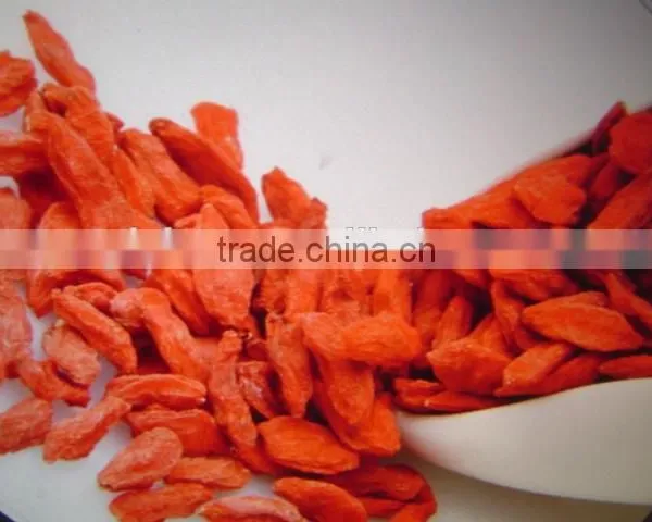 Goji Berry for Medicines photo-4