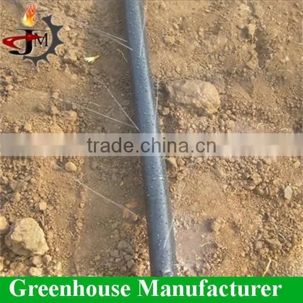 High Quality 200 Miron Film Tunnel Arch Green Houses for Vegetable Used photo-5