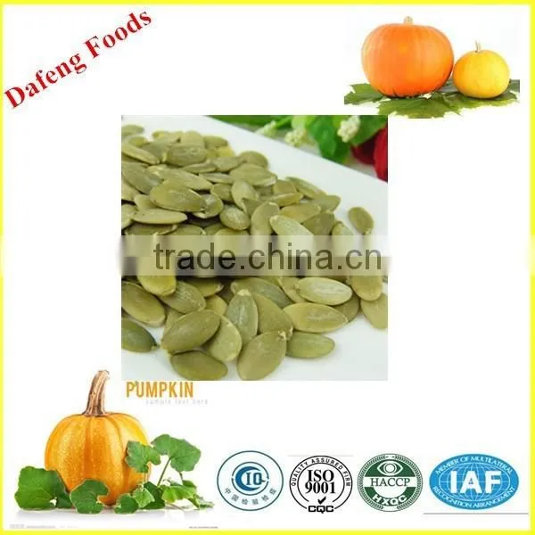 Wholesale Pumpkin Seeds Kernel for Baking Line photo-2