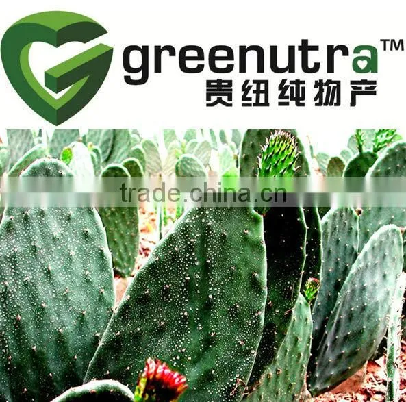 GMP Manufacturer Supply Cactus Extract photo-2